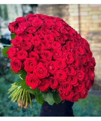 100 raudonų rožių