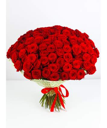100 raudonų rožių puokštė