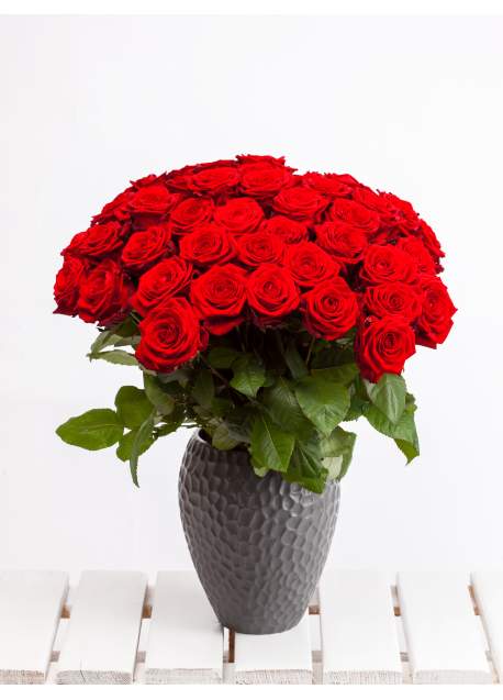 25-ios raudonos rožės