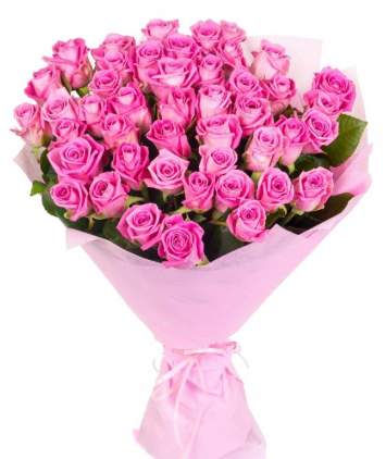50 rožinių rožių puokštė